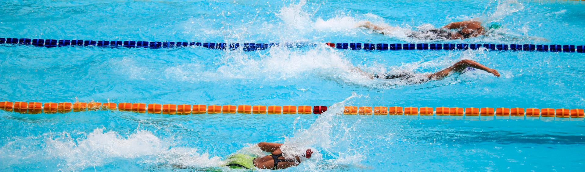 natation couloir de nage